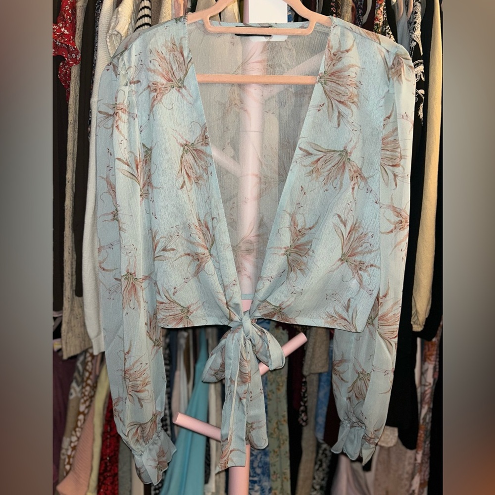 Shein Sheer Light Blue Floral Cropped Top/Cover OS